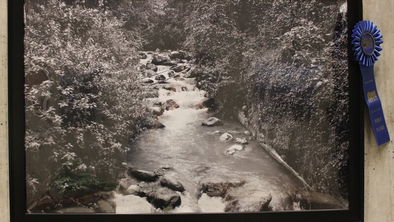 1st Annual Exhibit Macehta