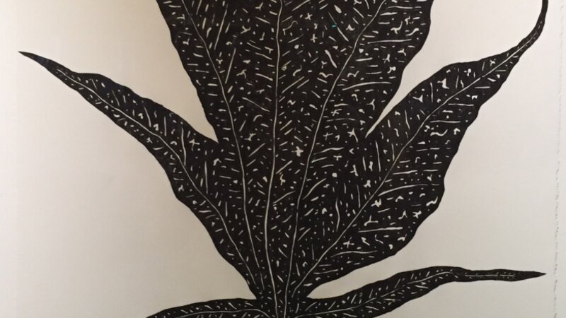 1st Annual Exhibit Alien Leaf
