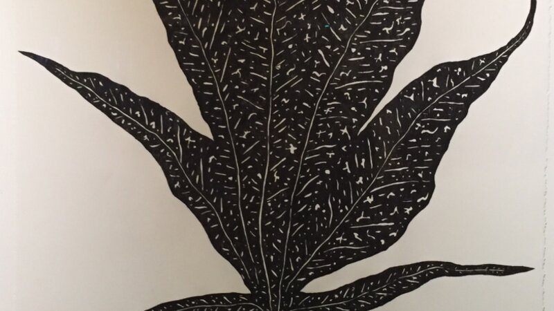 1st Annual Exhibit Alien Leaf