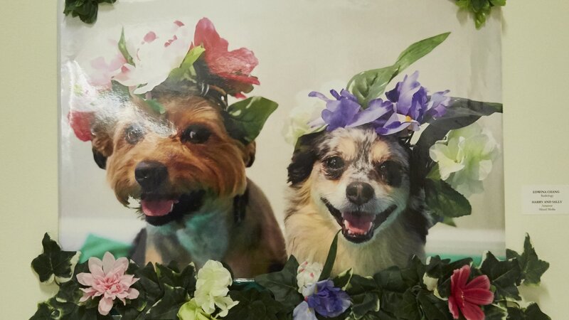 13th Annual Exhibit Harry & Sally