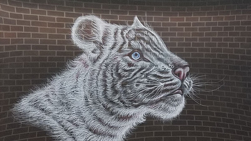 5th Annual Exhibit Wild Cat
