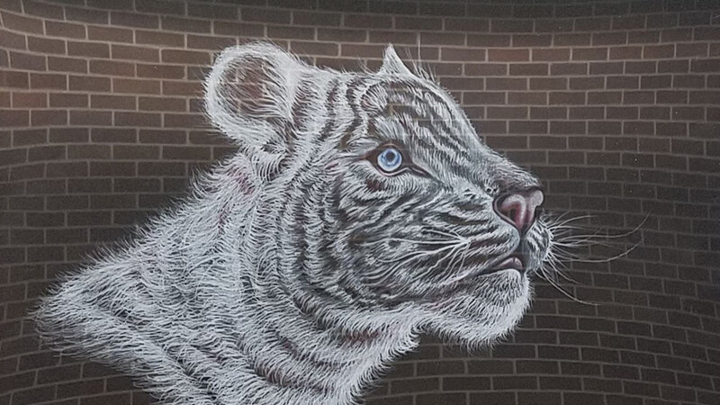 5th Annual Exhibit Wild Cat