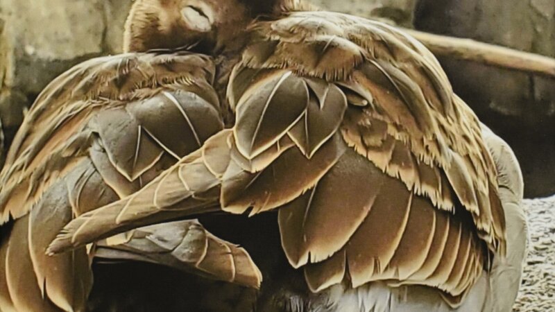 9th Annual Exhibit Alaska