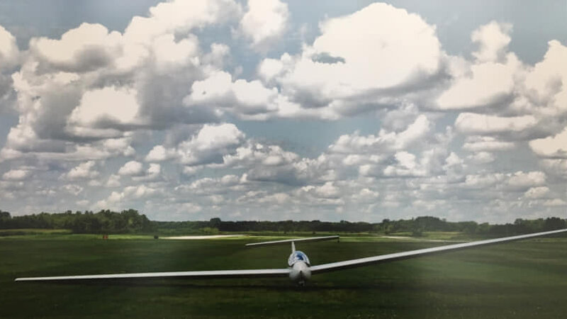 8th Annual Exhibit Bird Watching