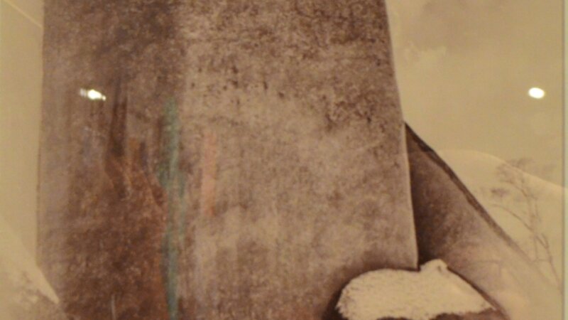 28th Annual Exhibit Bird on a Mission