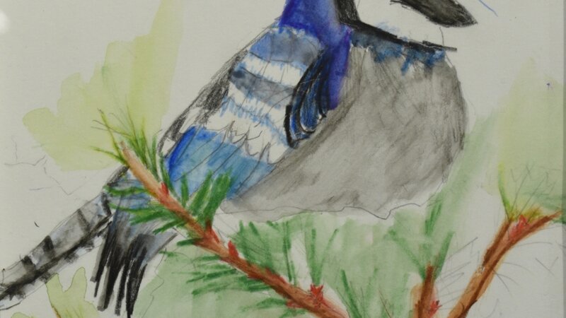 10th Annual Exhibit Blur Bird