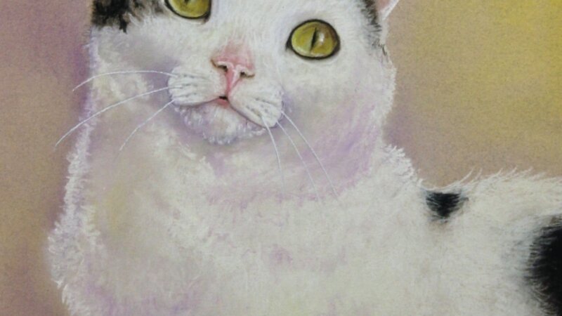 6th Annual Exhibit Cat