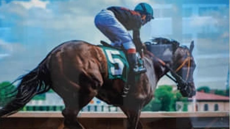 8th Annual Exhibit Finish Line