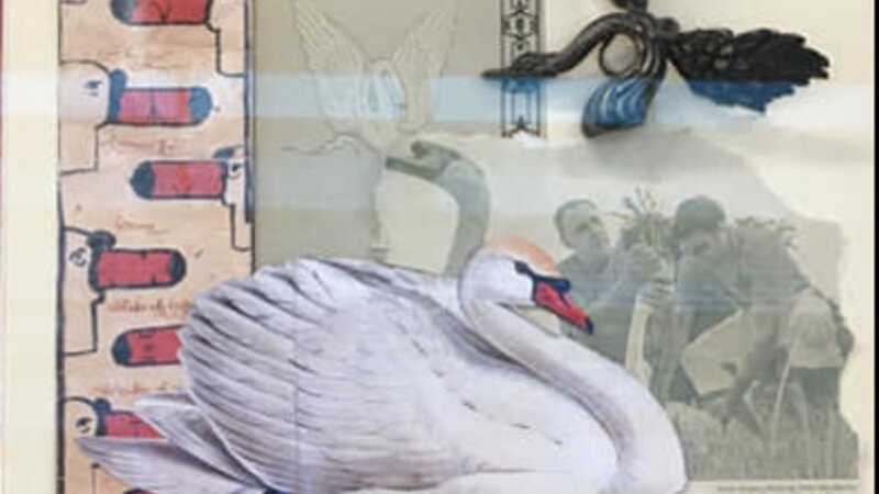 8th Annual Exhibit Queen Elizabeth's Annual Swan Upping