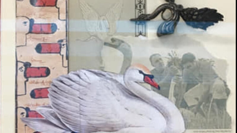 8th Annual Exhibit Queen Elizabeth's Annual Swan Upping