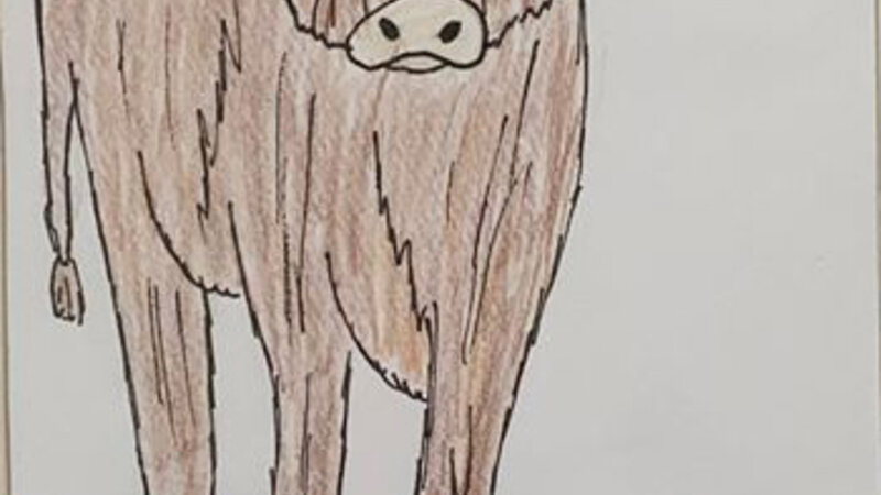 2nd Annual Exhibit Bo