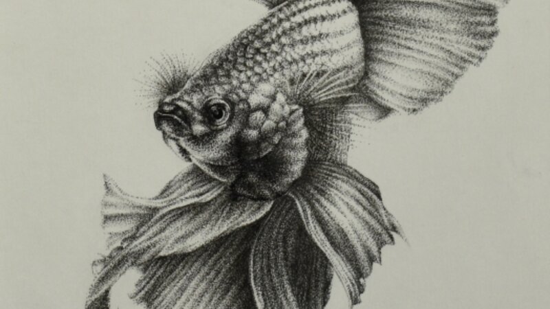 9th Annual Exhibit Fish