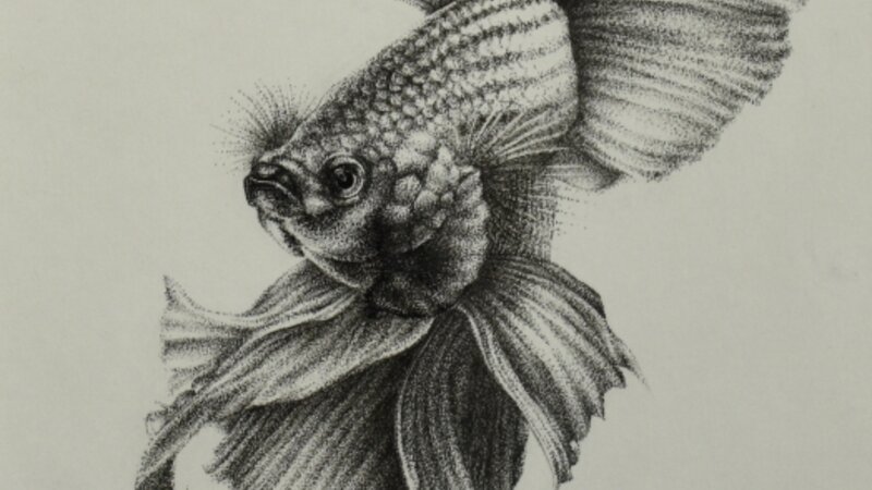 9th Annual Exhibit Fish