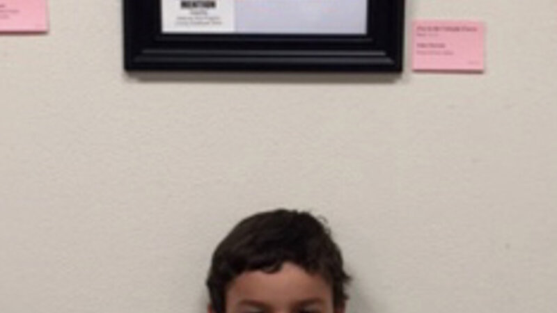 15th Annual Exhibit Fox in the Colorful Forest