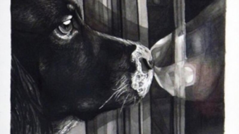 25th Annual Exhibit Griffy