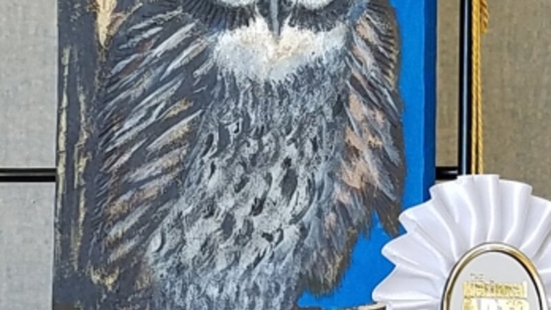 3rd Annual Exhibit Owl at Night