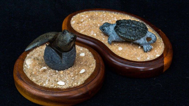 4th Annual Exhibit Turtle Babies