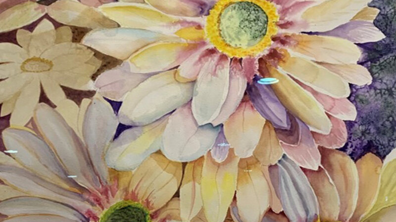 14th Annual Exhibit Shasta Daisies