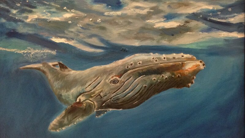 13th Annual Exhibit Humpback Whale in Open Water