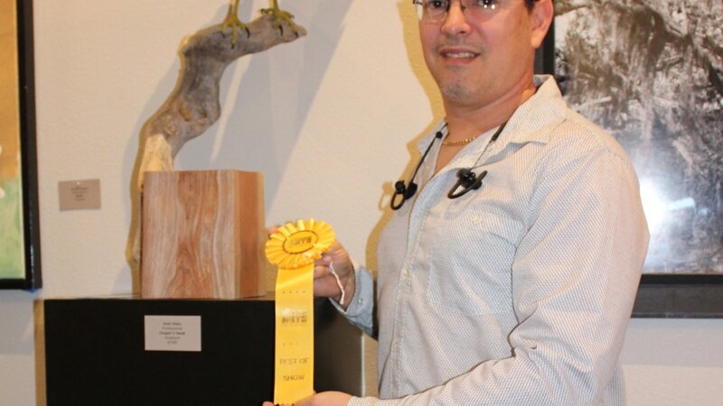 14th Annual Exhibit Cooper's Hawk