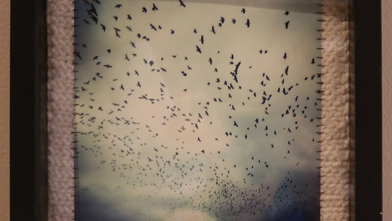 13th Annual Exhibit Sky Full of Starling