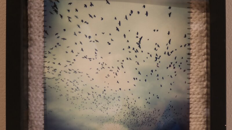 13th Annual Exhibit Sky Full of Starling