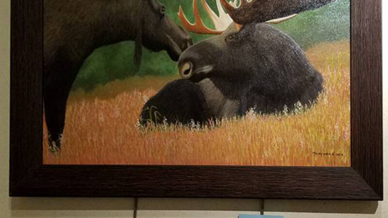 12th Annual Exhibit Hesitant