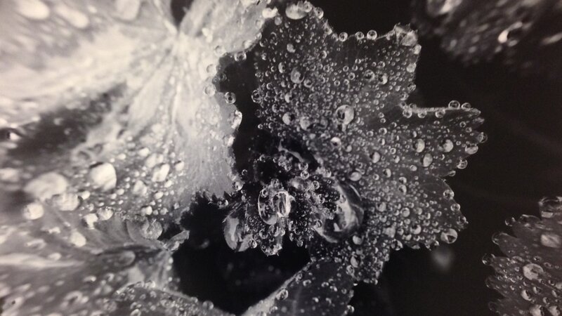 13th Annual Exhibit Rain