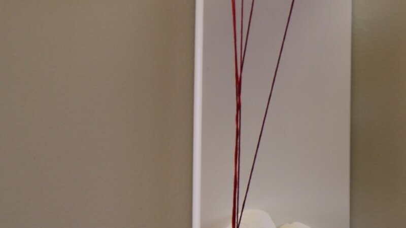 13th Annual Exhibit Attraction