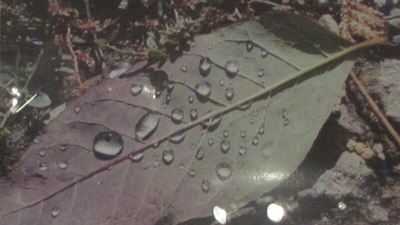 18th Annual Exhibit Simple Beauty