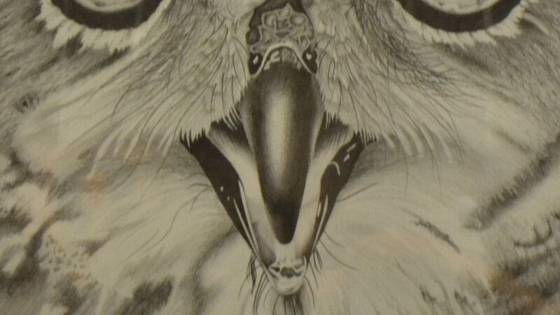 7th Annual Exhibit Owl