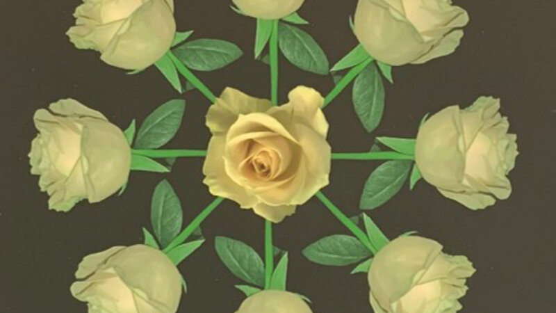 14th Annual Exhibit Rose Burst (Ivory)