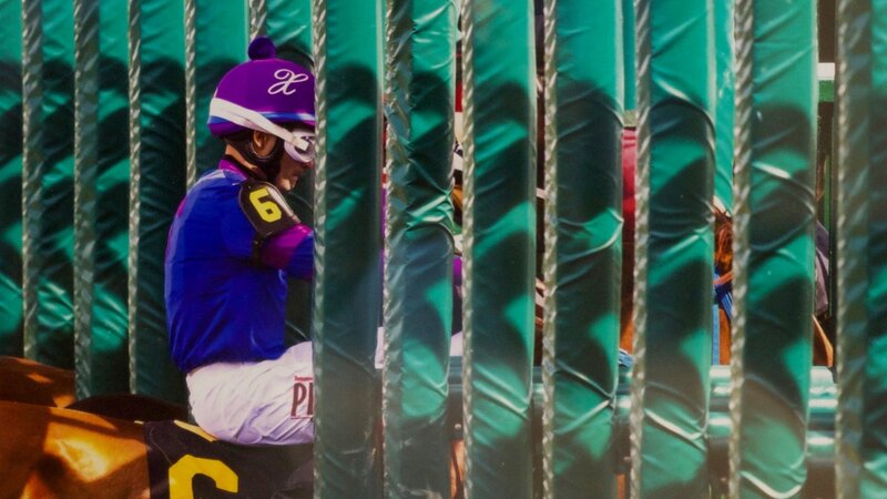6th Annual Exhibit Starting Gate
