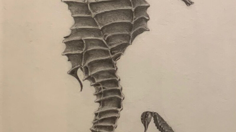 19th Annual Exhibit Hippocampis Scorpiones