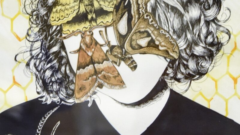 7th Annual Exhibit Moths for Brains