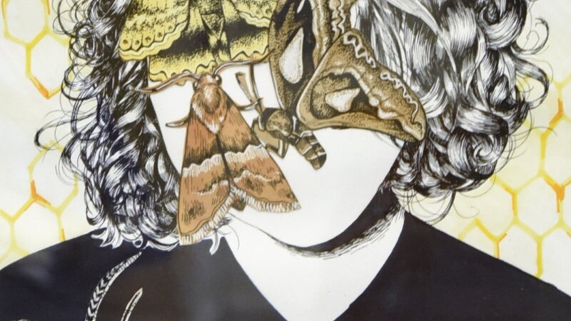 7th Annual Exhibit Moths for Brains