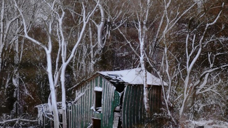 18th Annual Exhibit Snow