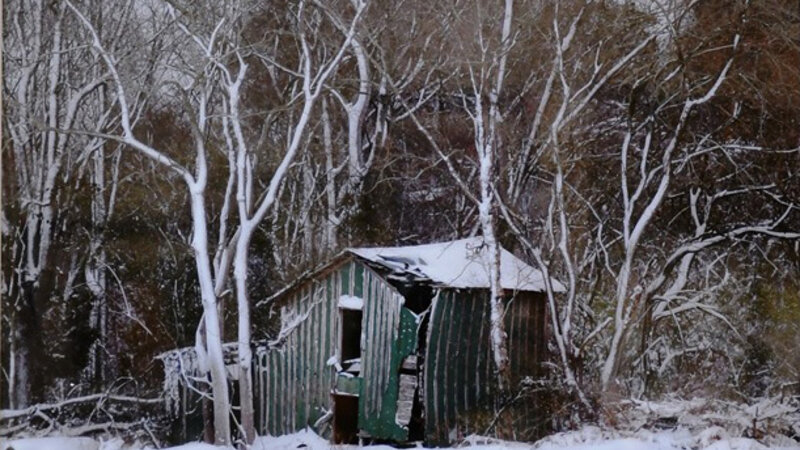 18th Annual Exhibit Snow