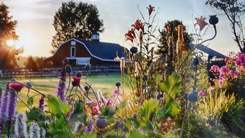 15th Annual Exhibit Summer Sunrise