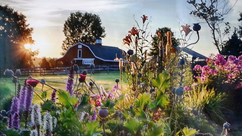 15th Annual Exhibit Summer Sunrise