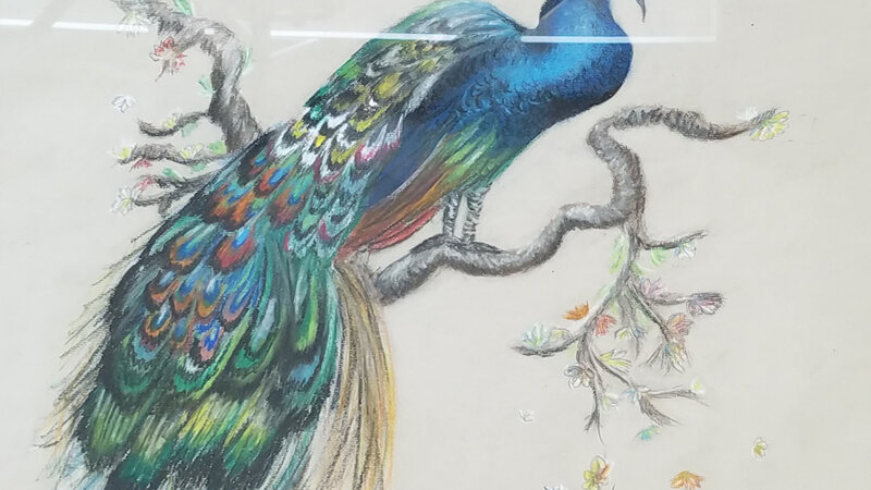 4th Annual Exhibit Resplendent Pavo