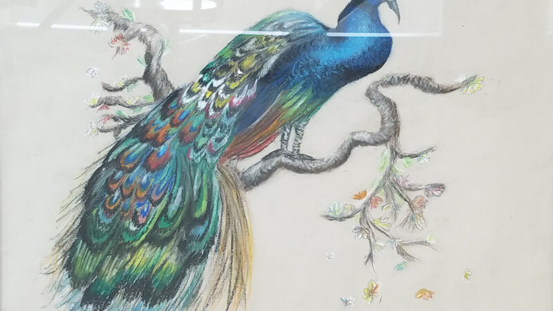 4th Annual Exhibit Resplendent Pavo