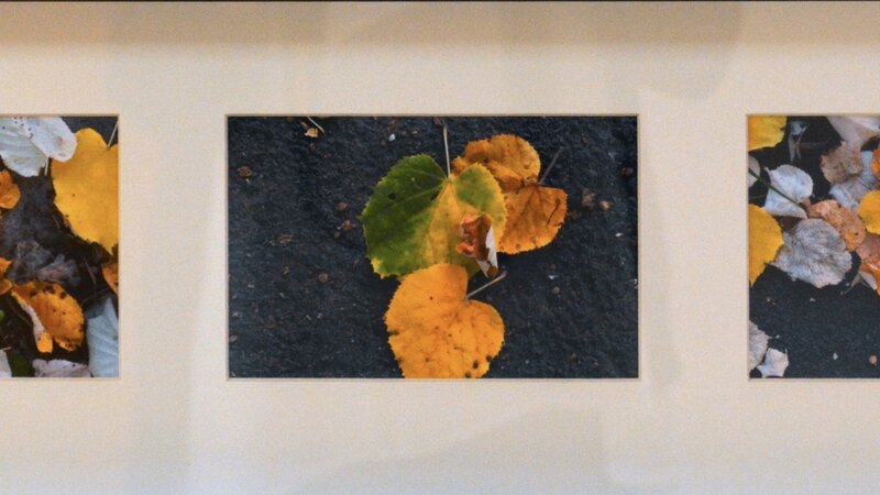 13th Annual Exhibit Fall