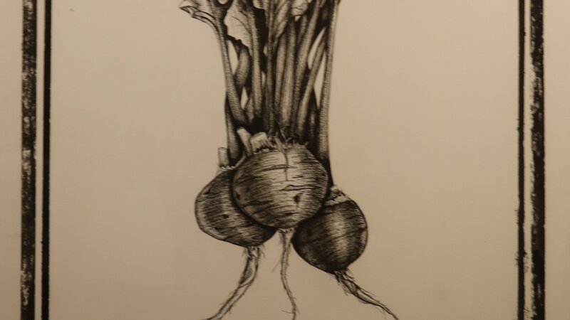 13th Annual Exhibit Bring the Beet In