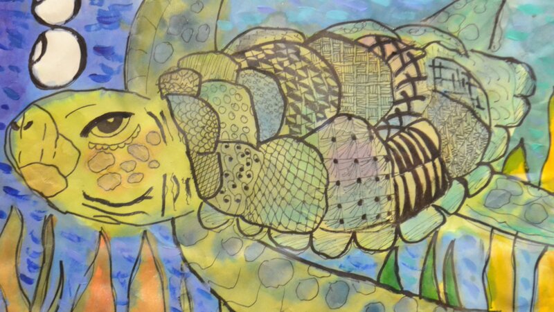 7th Annual Exhibit Turtle Time