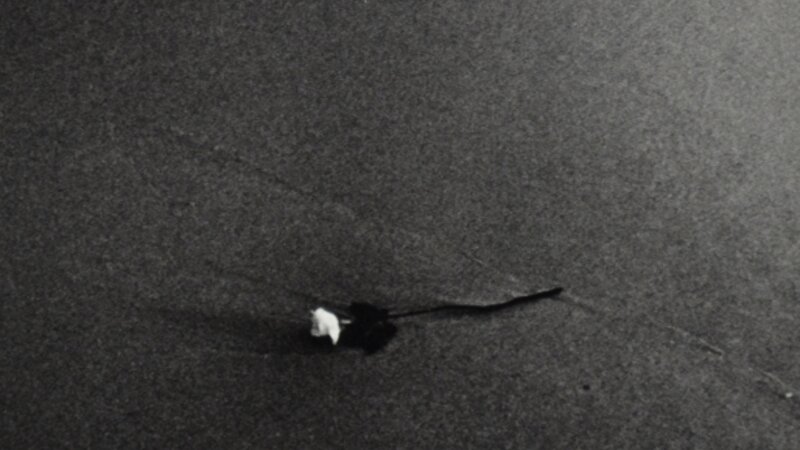 9th Annual Exhibit Uma Rosa Para Lemanja