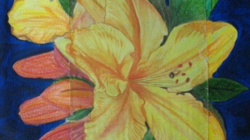 14th Annual Exhibit Bloomed