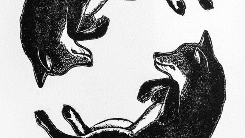 11th Annual Exhibit Dance