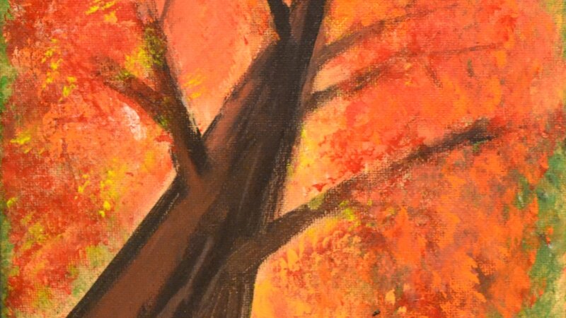 11th Annual Exhibit Tree Gazing