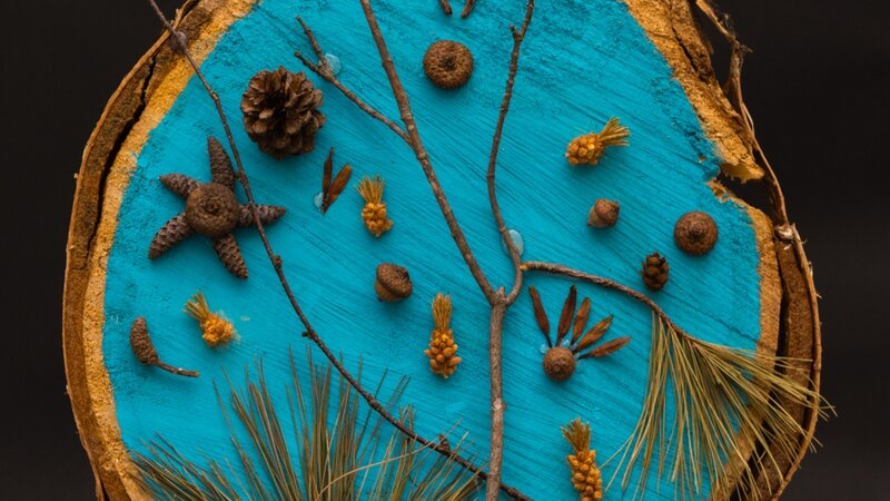 11th Annual Exhibit Acorn Woods